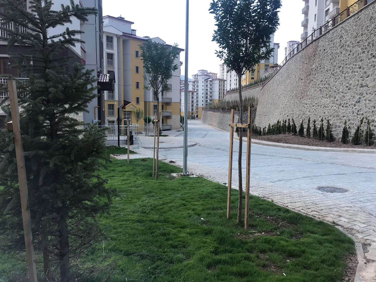 Gümüşhane İli Merkez İlçesi Çamlıca Mahallesi 528 Adet Konut, 1’er Adet Ticaret Merkezi ve Cami İnşaatları ile Altyapı ve Çevre Düzenlemesi İşi